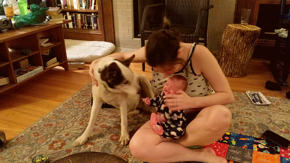 fambly
